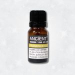 Oleo Essencial 10ml - Olíbano Diluído (Frankincense)